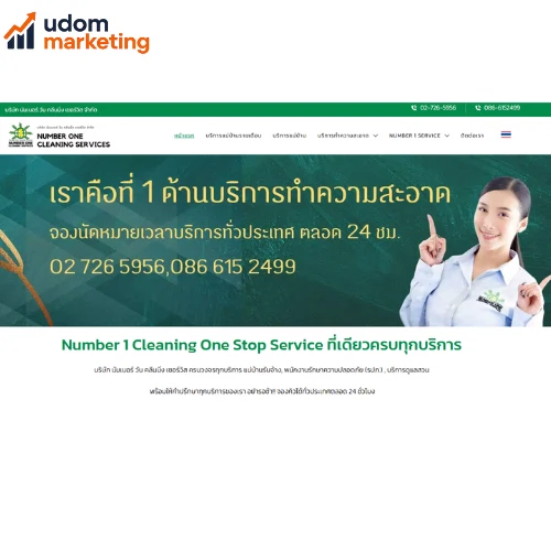 number1cleaningservices.com